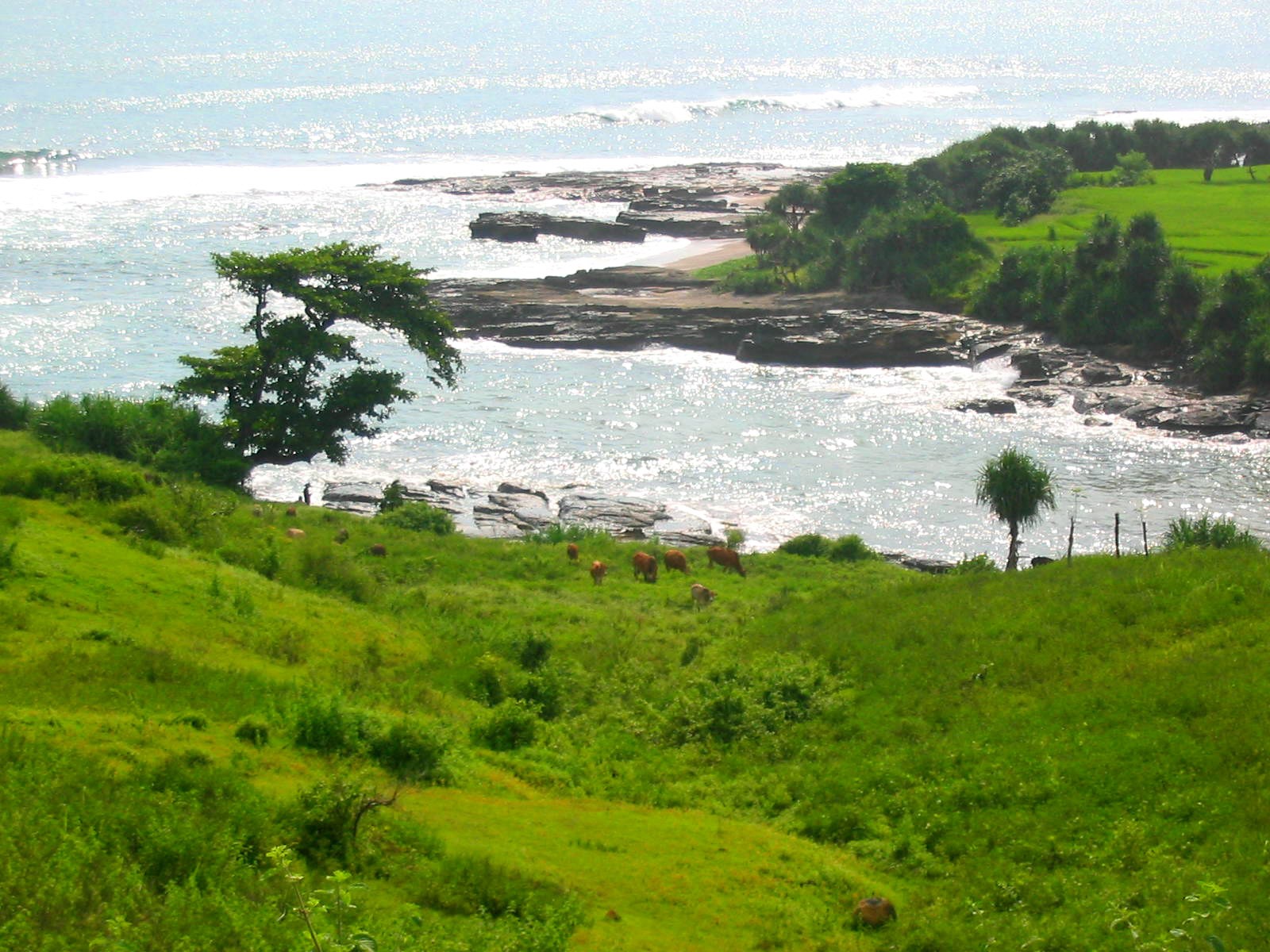 Pantai Sodong Bodas